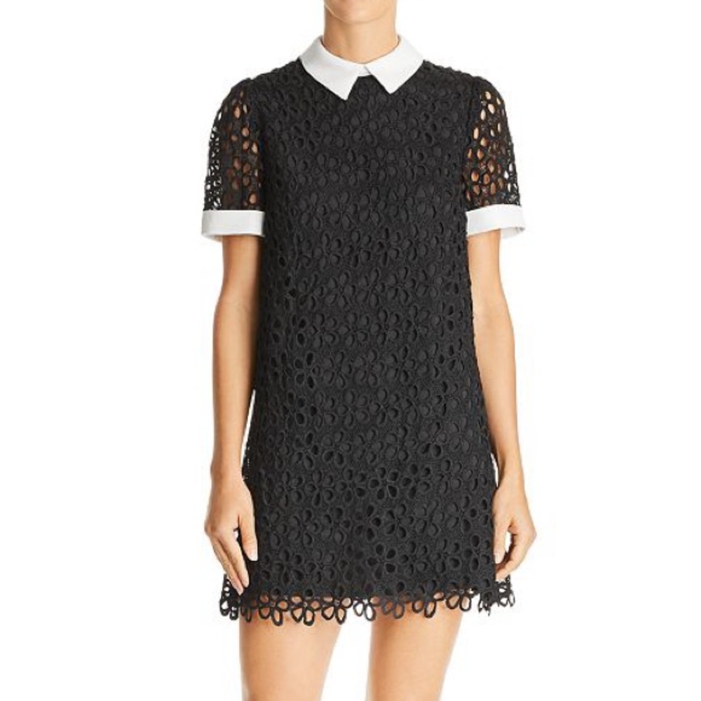 AQUA Collared Lace Shift Dress